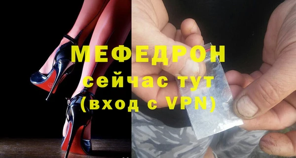 индика Новозыбков