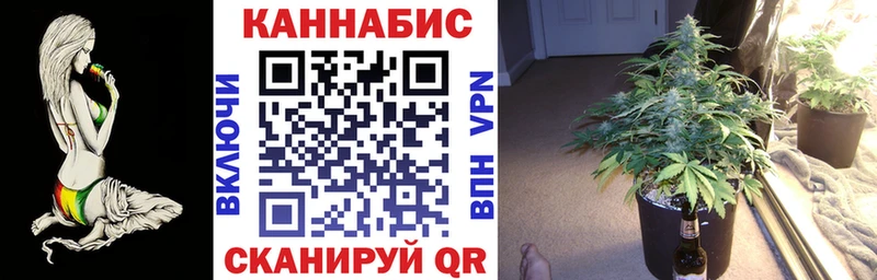 Шишки марихуана THC 21%  Ставрополь 